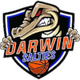 达尔文巨鳄女篮logo